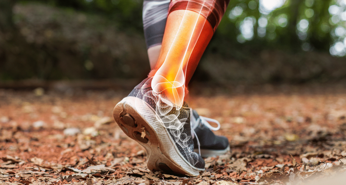 Walking through the woods with 3D xray view of ankle.