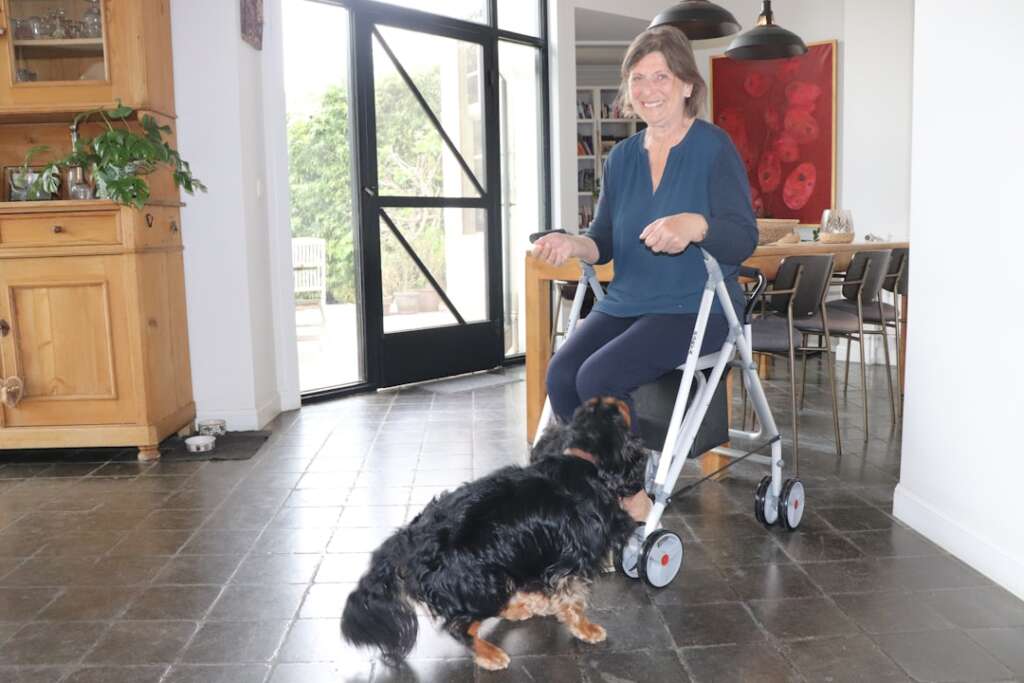 Woman using walker during recovery rehabilitation with therapy dog